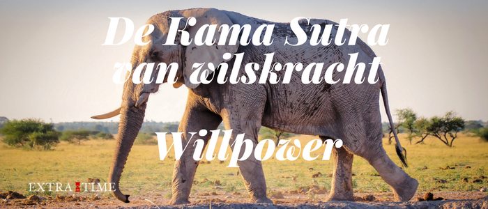 De Kama Sutra van wilskracht – Willpower