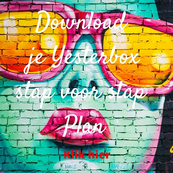 Download je Yesterbox stap voor stap Plan